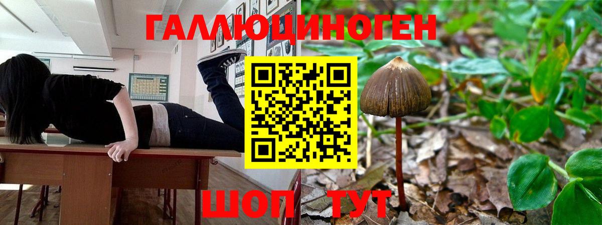 Галлюциногенные грибы GOLDEN TEACHER Белебей